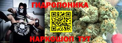 дживик Бийск