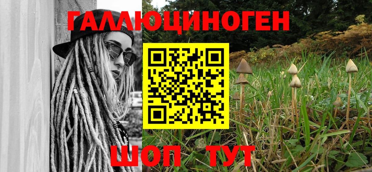 Галлюциногенные грибы Cubensis Кольчугино