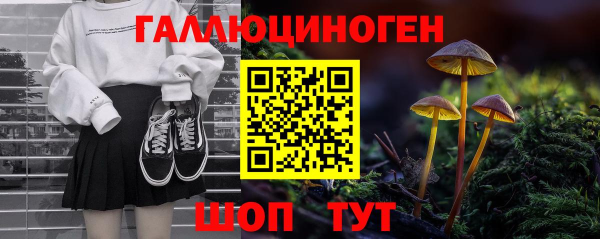 Кольчугино  Псилоцибиновые грибы мицелий  как найти закладки  Вход с VPN 