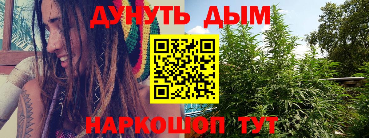 Бошки марихуана марихуана  Каннабис план  Шишки марихуана Amnesia  Вход с VPN  Кольчугино  Конопля Ganja 